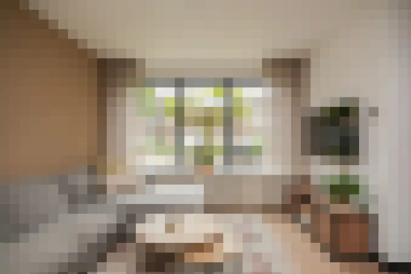 Albert Botslaan 17 Lieshout thumbnail 8