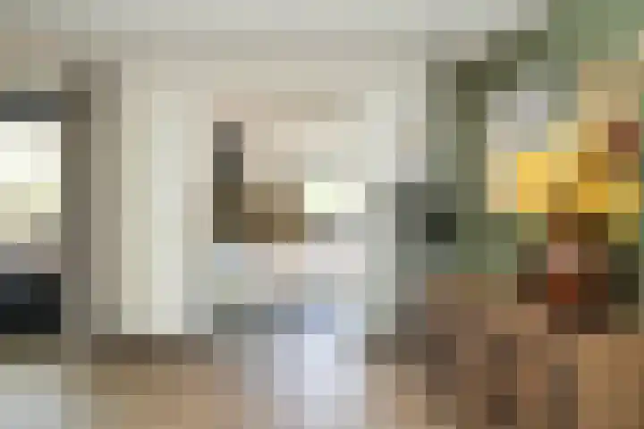 Albert Botslaan 17 Lieshout thumbnail 8
