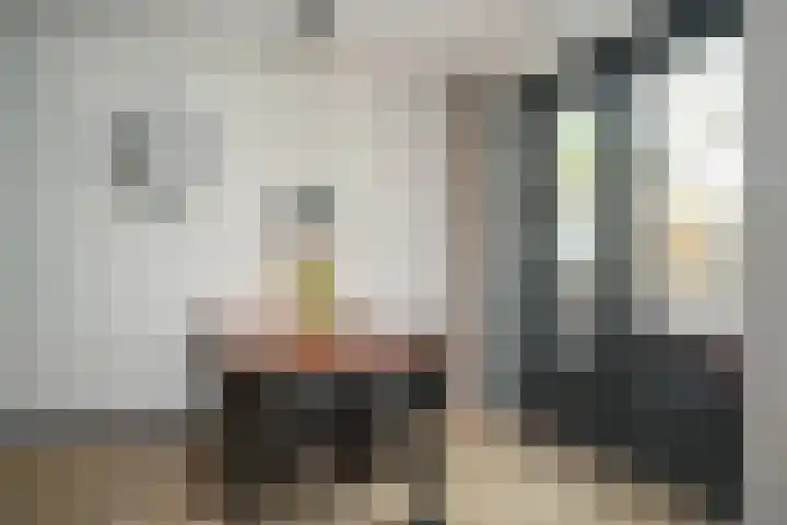 Albert Botslaan 17 Lieshout thumbnail 9