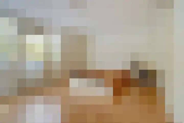 Albert Camuslaan 11 Eindhoven thumbnail 11