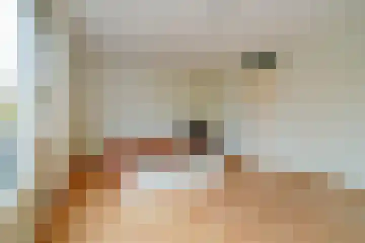 Albert Camuslaan 11 Eindhoven thumbnail 12