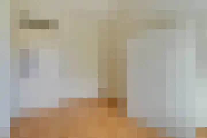 Albert Camuslaan 11 Eindhoven thumbnail 18