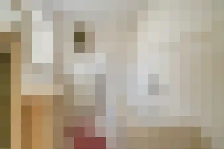 Albert Camuslaan 11 Eindhoven thumbnail 19