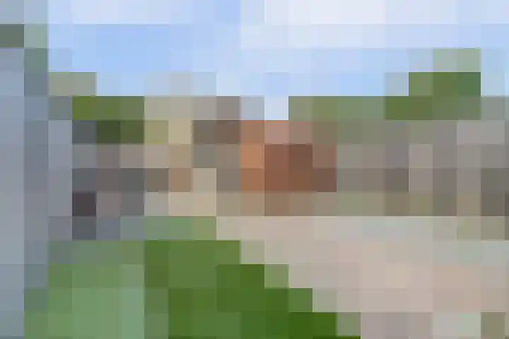 Albert Camuslaan 11 Eindhoven thumbnail 24