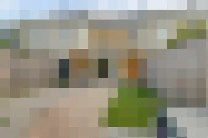 Albert Camuslaan 11 Eindhoven thumbnail 25
