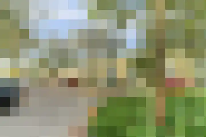 Albert Camuslaan 11 Eindhoven thumbnail 32