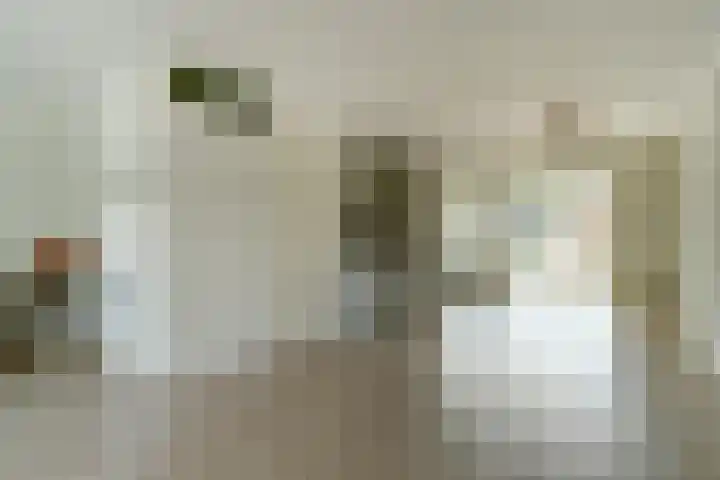 Albert Camuslaan 11 Eindhoven thumbnail 5