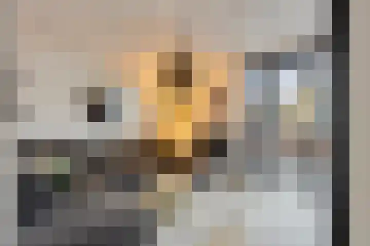 Albert Camuslaan 4 Eindhoven thumbnail 11
