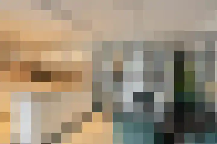 Albert Camuslaan 4 Eindhoven thumbnail 19