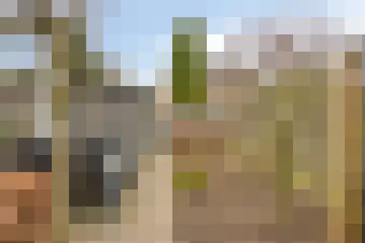 Albert Camuslaan 4 Eindhoven thumbnail 38