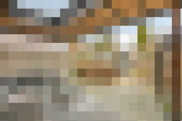 Albert Camuslaan 4 Eindhoven thumbnail 5