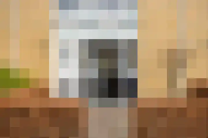 Albert Camuslaan 4 Eindhoven thumbnail 8