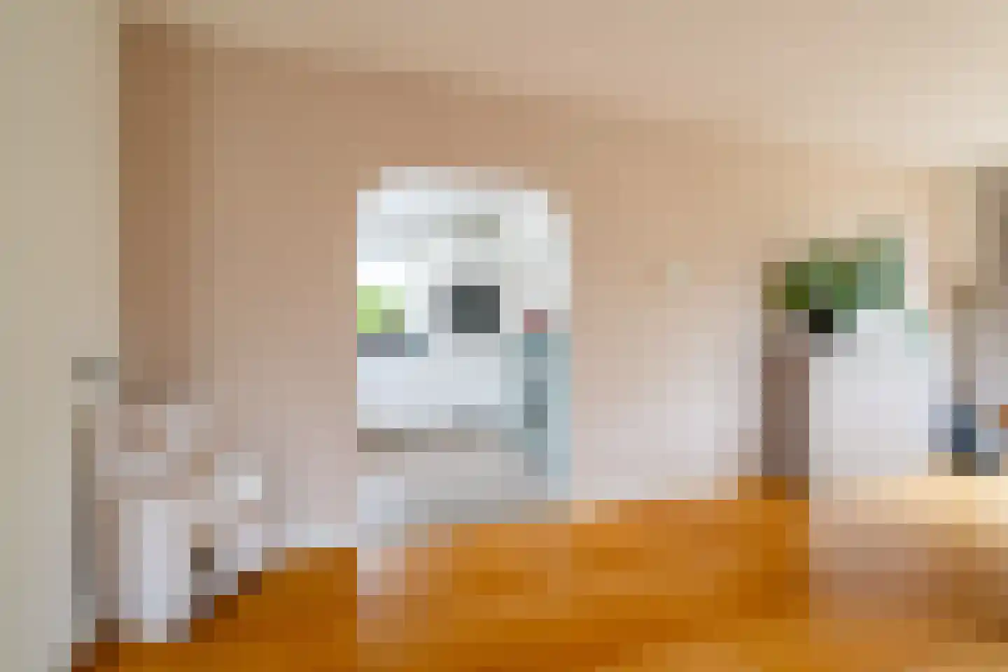 Albert Coendersstraat 2 Aduard thumbnail 37