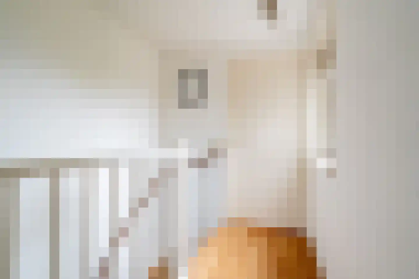 Albert Coendersstraat 2 Aduard thumbnail 42