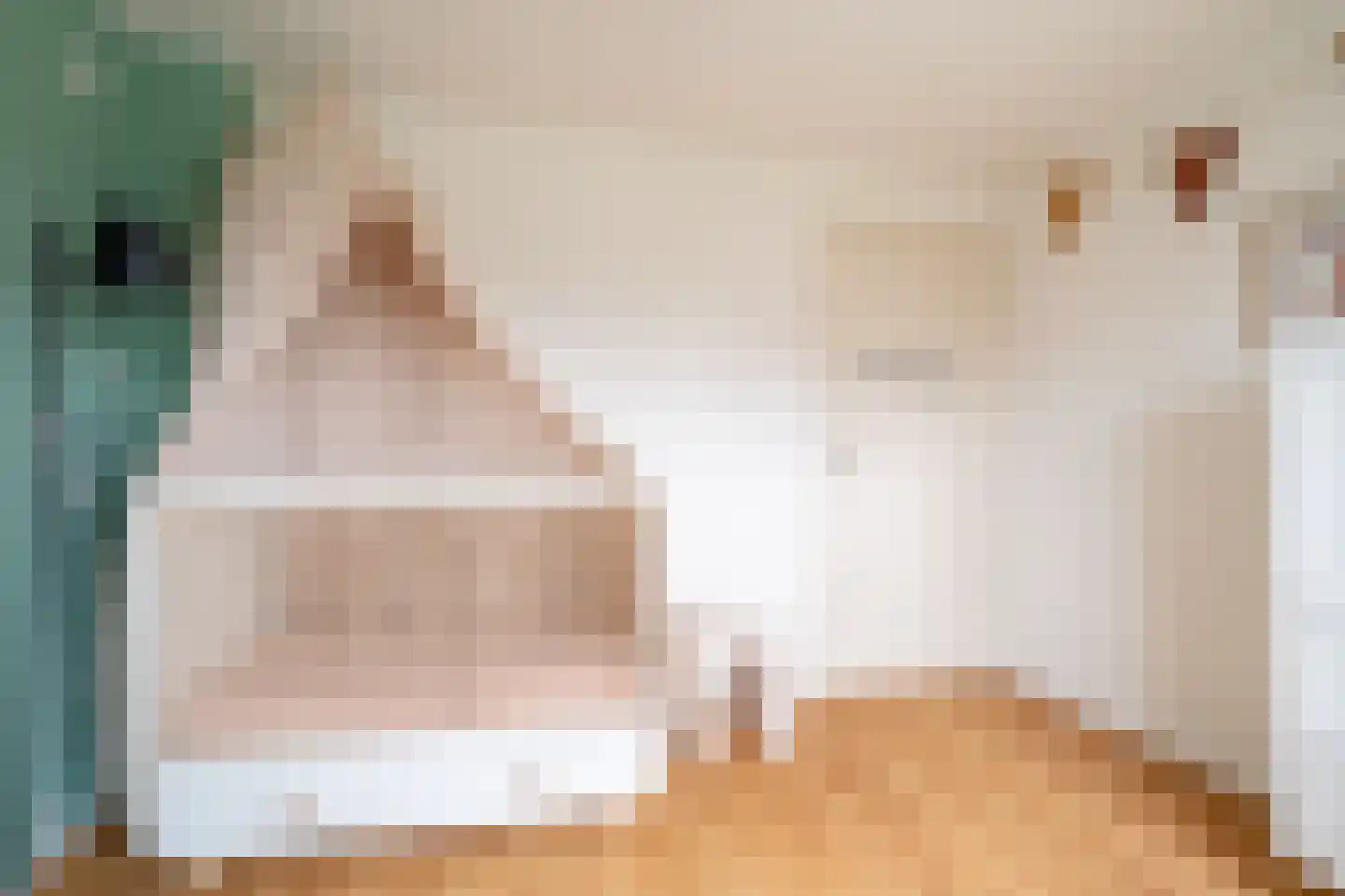 Albert Coendersstraat 2 Aduard thumbnail 58