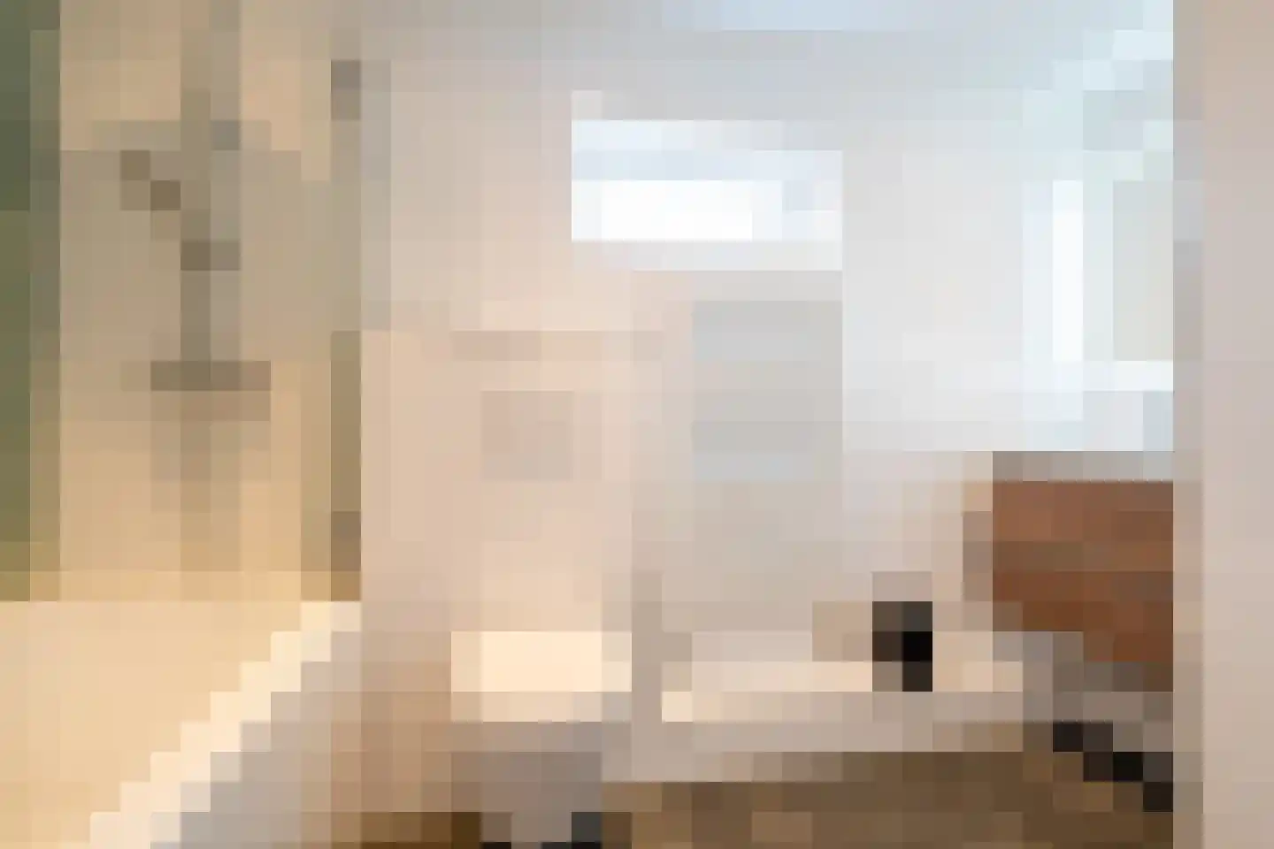 Albert Coendersstraat 2 Aduard thumbnail 6