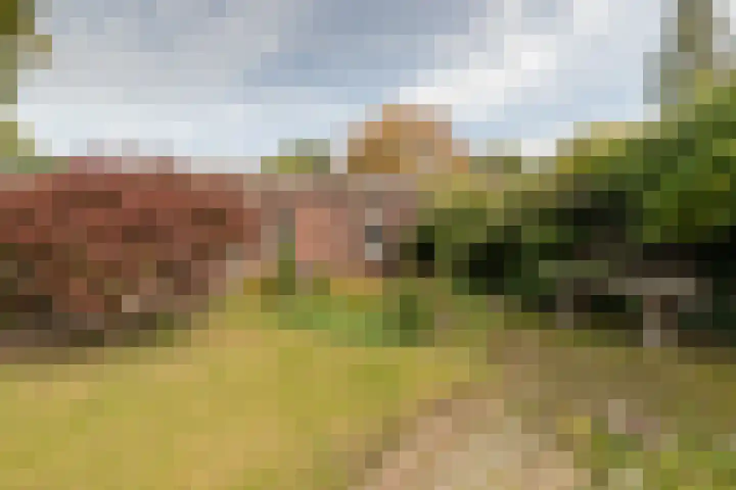Albert Coendersstraat 20 Aduard thumbnail 19