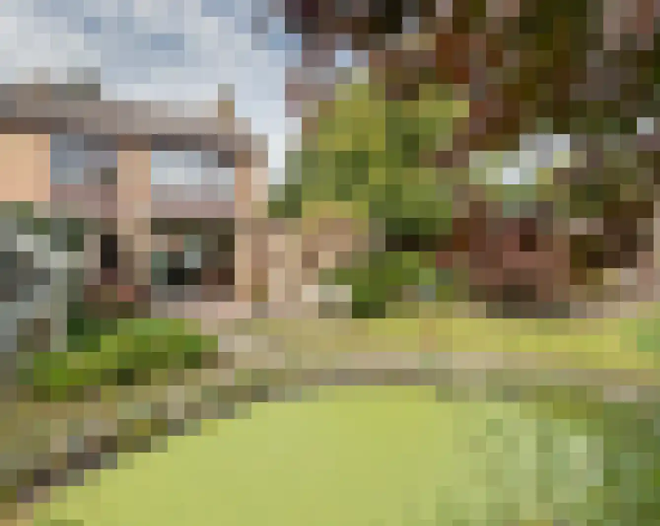 Albert Coendersstraat 20 Aduard thumbnail 21