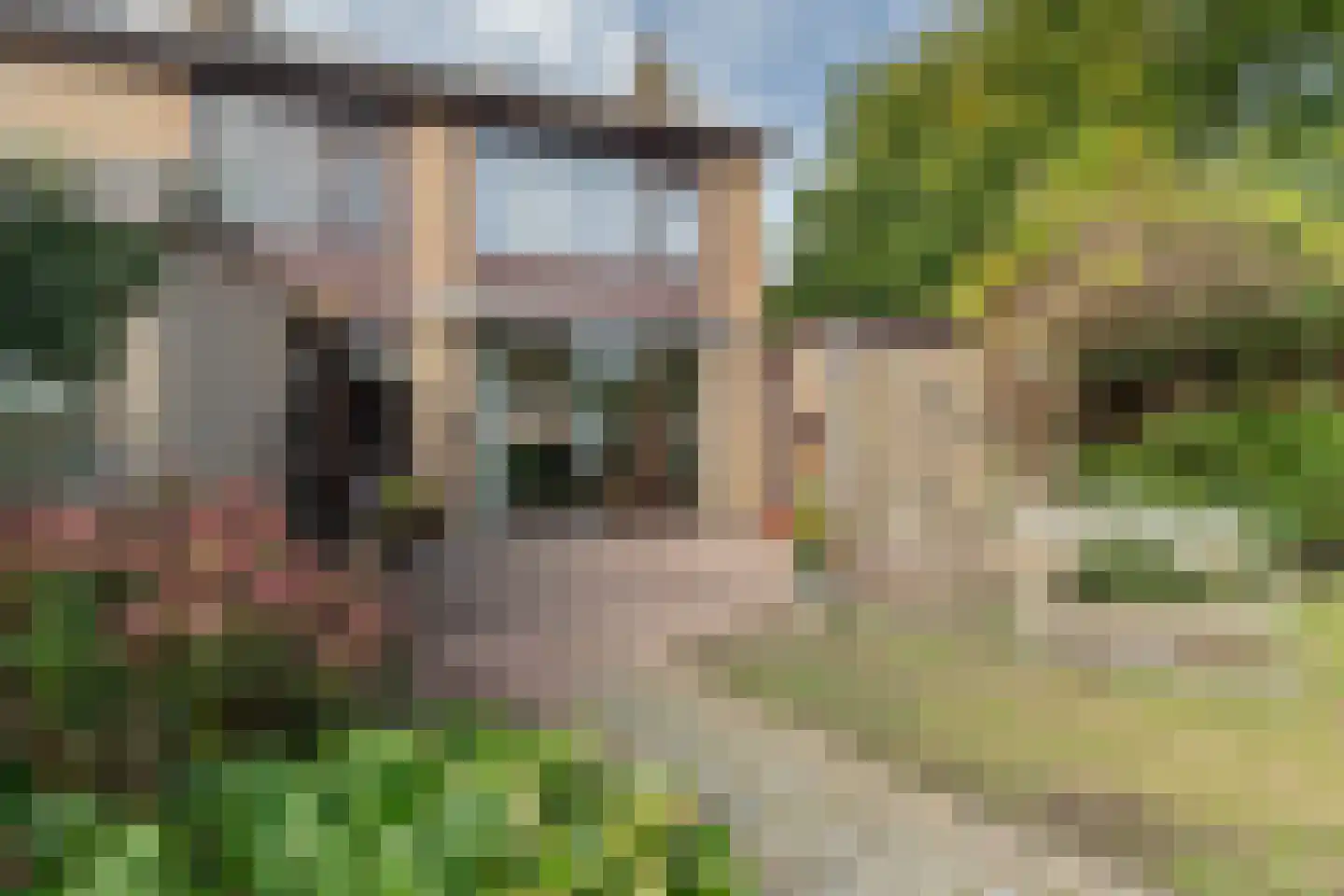 Albert Coendersstraat 20 Aduard thumbnail 22