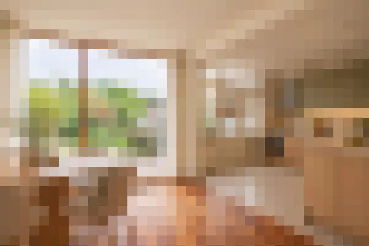 Albert Coendersstraat 20 Aduard thumbnail 51