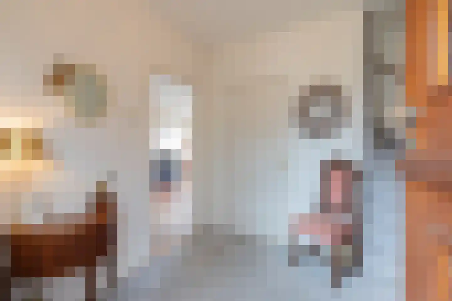 Albert Coendersstraat 20 Aduard thumbnail 8