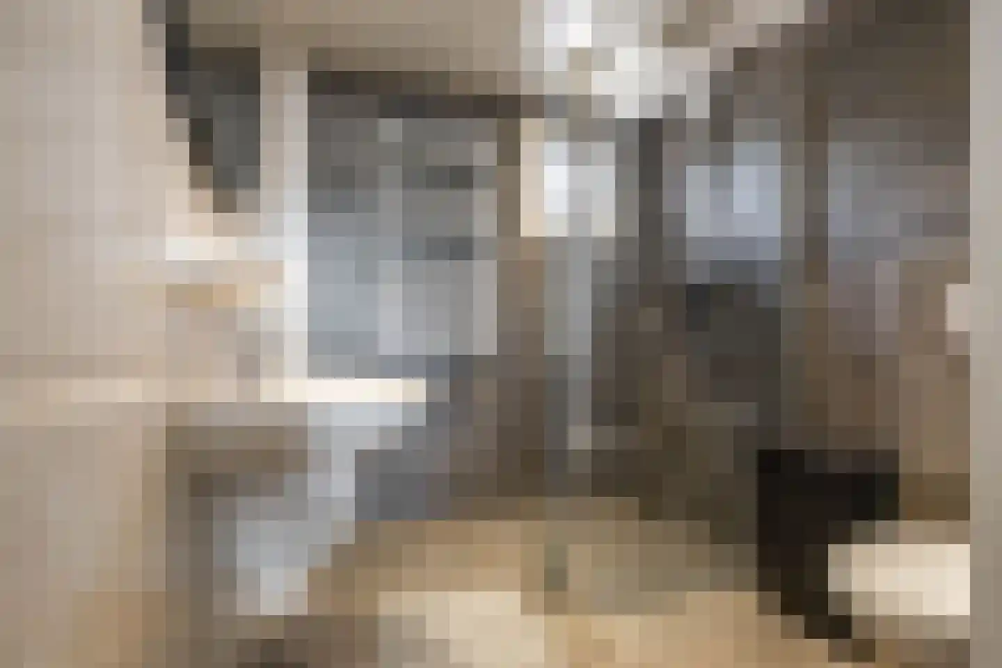 Albert Coendersstraat 27 Aduard thumbnail 20