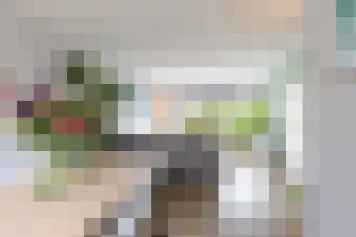 Albert Coendersstraat 5 Aduard thumbnail 10
