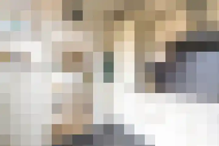 Albert Coendersstraat 5 Aduard thumbnail 14
