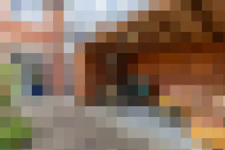 Albert Coendersstraat 5 Aduard thumbnail 40