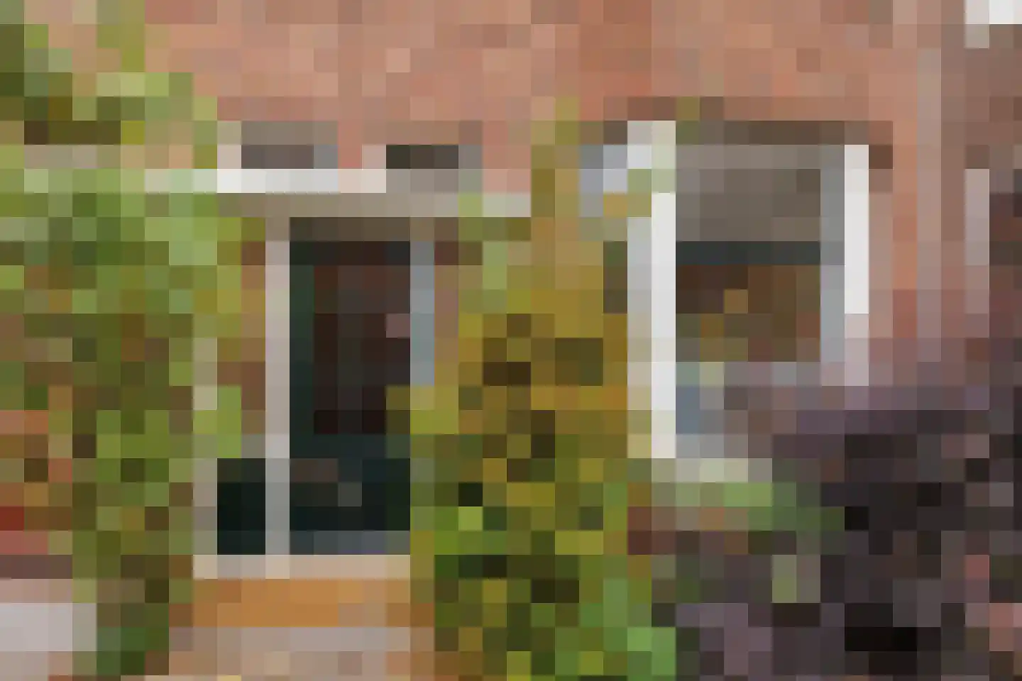 Albert Cuijpstraat 15 Schiedam thumbnail 5