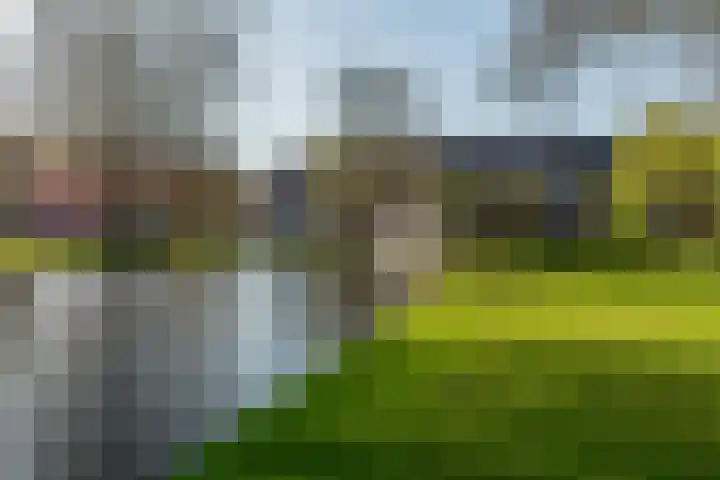 Albert Cuijpstraat 18 Rotterdam thumbnail 42