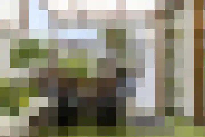 Albert Cuijpstraat 20 Schiedam thumbnail 24
