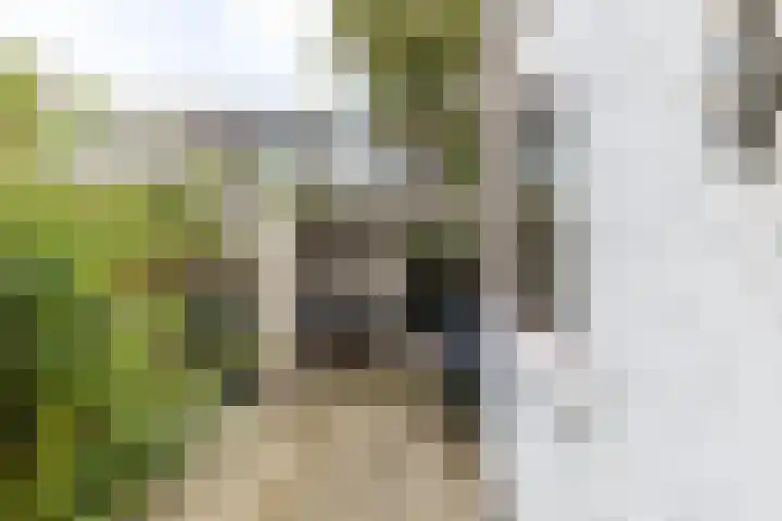 Albert Cuijpstraat 20 Schiedam thumbnail 26