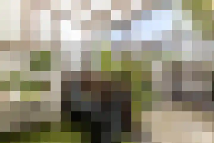 Albert Cuijpstraat 20 Schiedam thumbnail 4