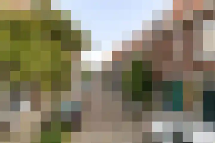 Albert Cuijpstraat 20 Schiedam thumbnail 58