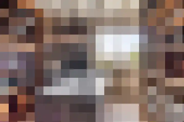 Albert Cuijpstraat 23 Bergen op Zoom thumbnail 20