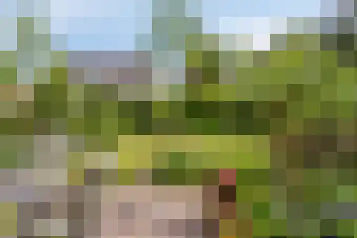 Albert Cuijpstraat 23 Bergen op Zoom thumbnail 32