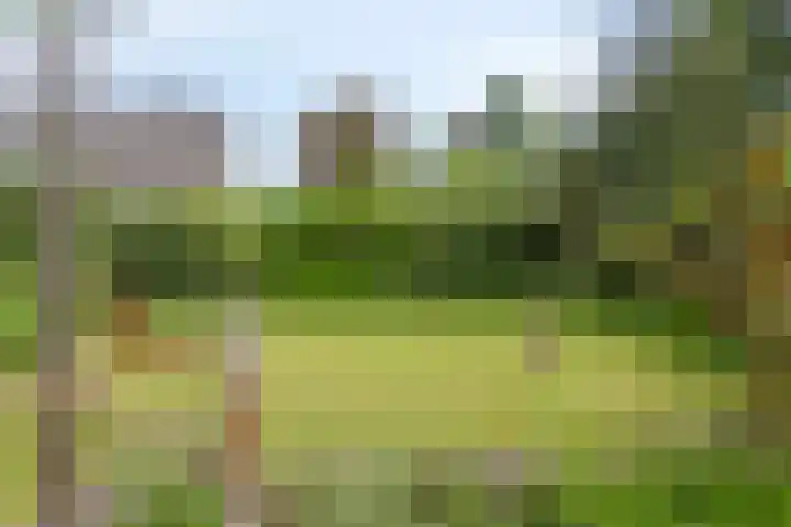 Albert Cuijpstraat 23 Bergen op Zoom thumbnail 37