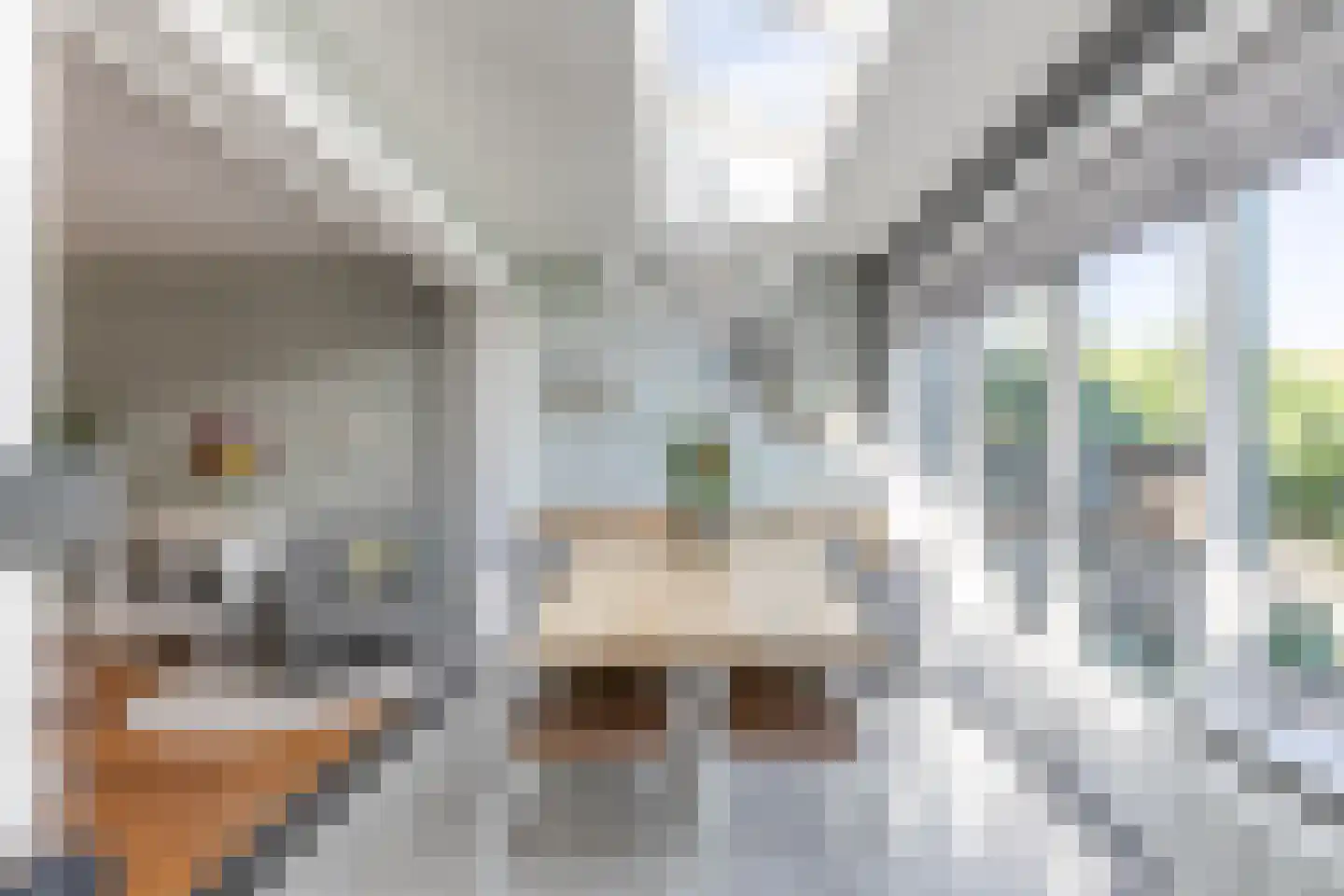 Albert Cuijpstraat 32 Amersfoort thumbnail 18