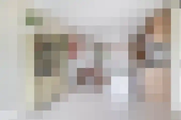 Albert Cuyplaan 1 Veendam thumbnail 12