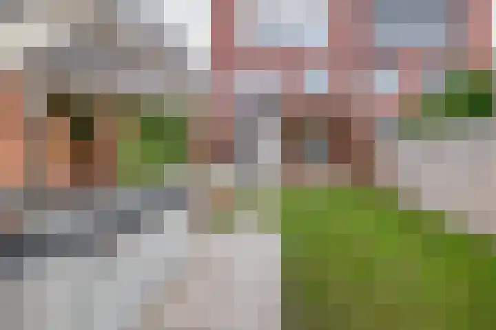 Albert Cuyplaan 1 Veendam thumbnail 34