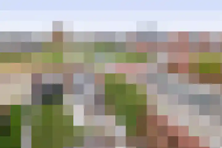 Albert Cuyplaan 1 Veendam thumbnail 35