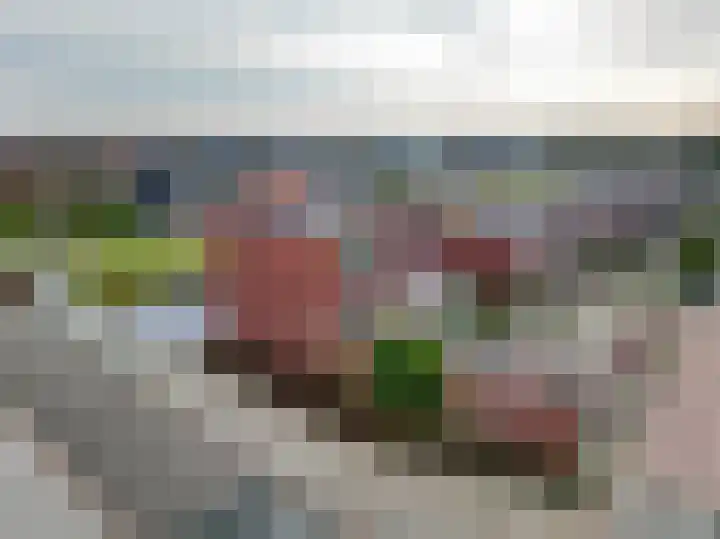Albert Cuyplaan 1 Veendam thumbnail 39