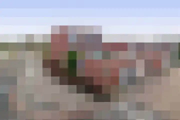 Albert Cuyplaan 1 Veendam thumbnail 40