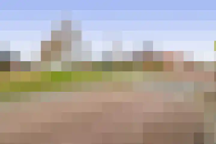 Albert Cuyplaan 1 Veendam thumbnail 45