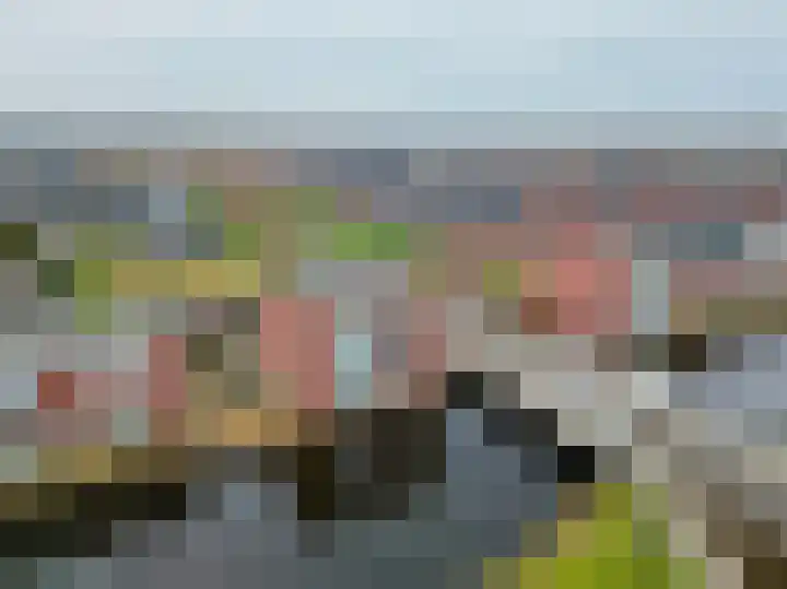 Albert Cuyplaan 1 Veendam thumbnail 49