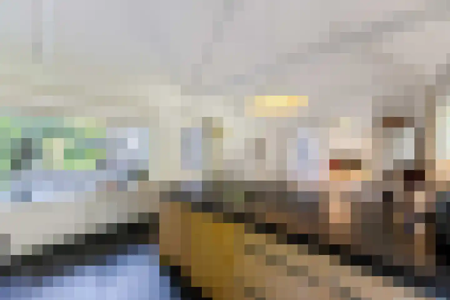 Albert Cuyplaan 11 Bilthoven thumbnail 17