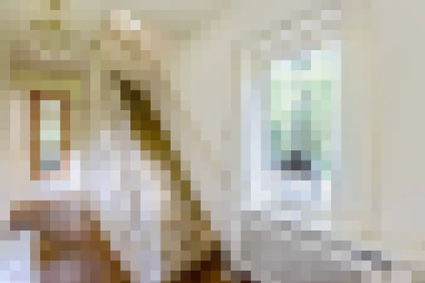 Albert Cuyplaan 11 Bilthoven thumbnail 18