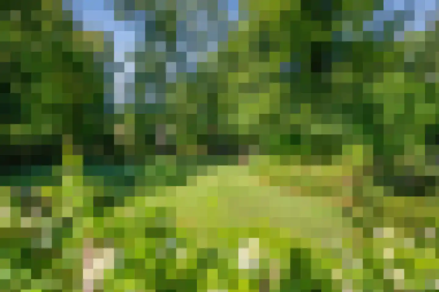 Albert Cuyplaan 11 Bilthoven thumbnail 25
