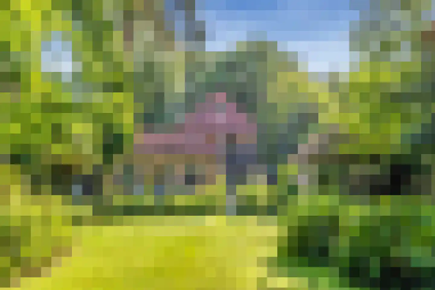 Albert Cuyplaan 11 Bilthoven thumbnail 4
